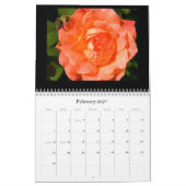 Farbfotografie-Kalender 2010 Kalender (Feb 2027)