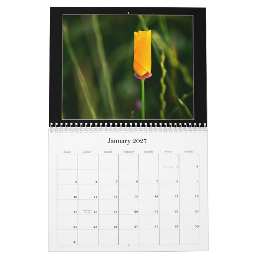 Farbfotografie-Kalender 2010 Kalender (Jan 2027)