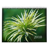 Farbfotografie-Kalender 2010 Kalender (Titelbild)
