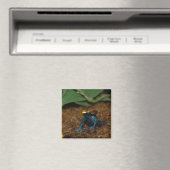 Farbfrosch Magnet (In Situ (Geschirrspüler))