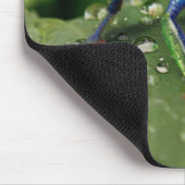 Farbfrosch Mousepad (Ecke)