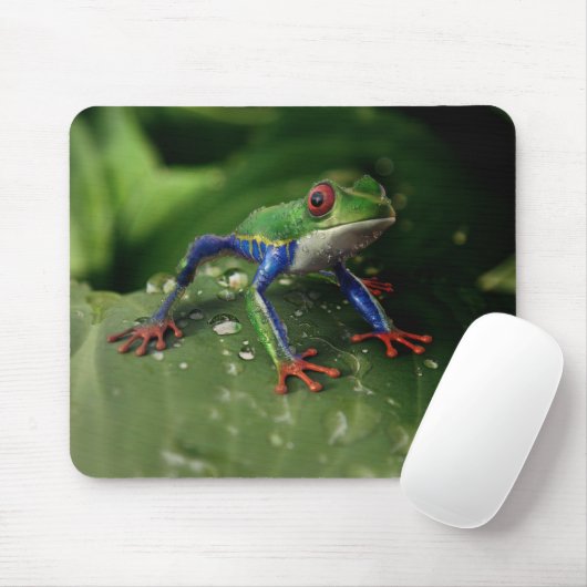 Farbfrosch Mousepad (Mit Mouse)