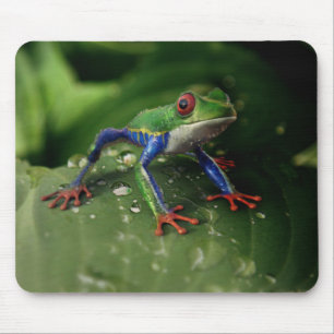 Farbfrosch Mousepad