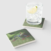 Farbfrosch Steinuntersetzer (Seitenansicht)