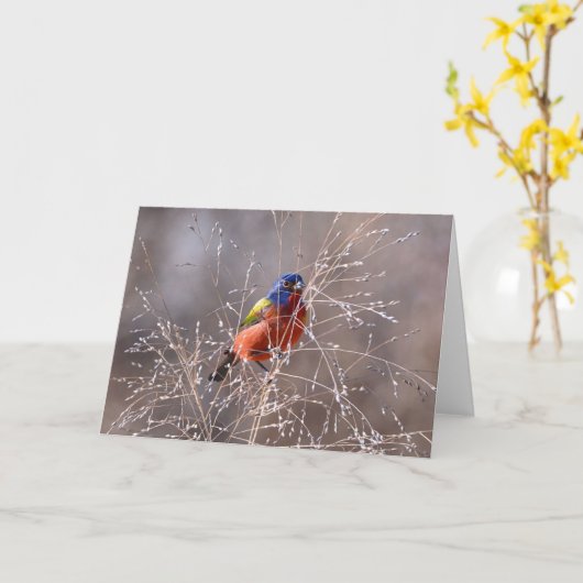 Farbgebliebene Fixierkarte Karte (Gelbe Blume)