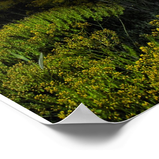 Farbgefüllter Sonnenuntergang Poster (Ecke)