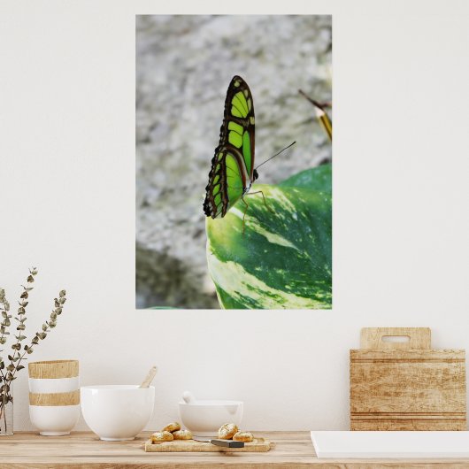 Farbglas Poster (Küche)