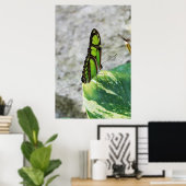 Farbglas Poster (Heimbüro)