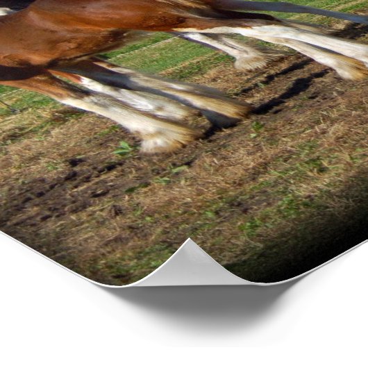 Farbgruppendruck Poster (Ecke)