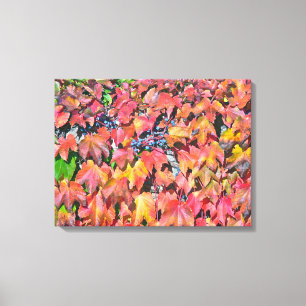 FARBHAFTER VIRGINIA-STRAMPLER AN DER WAND LEINWANDDRUCK
