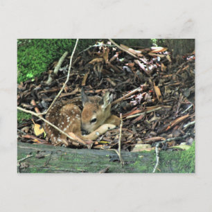 farbig postkarte