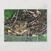 farbig postkarte (Vorderseite)