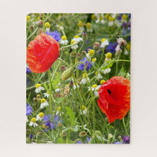 farbig, weiß, rot, Mohn, Wiese, Natur, Puzzle
