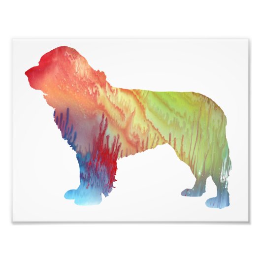 Farbige abstrakte Neufundland-Silhouette Fotodruck (Vorne)