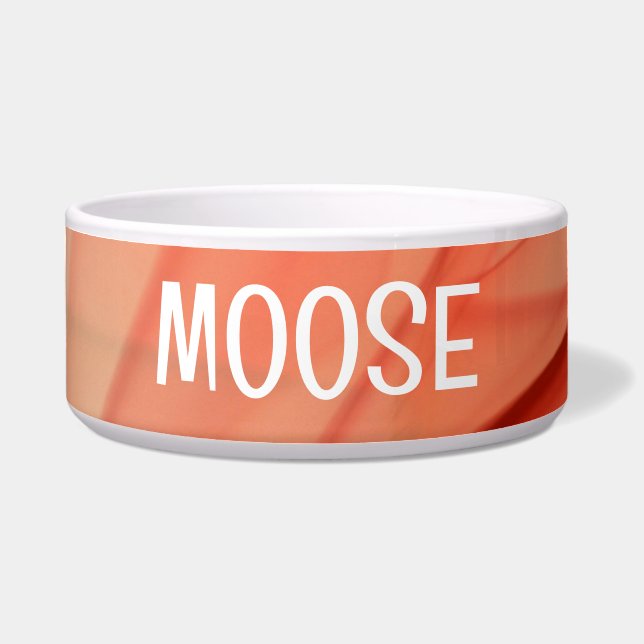 Farbige Abstrakte Pet Bowl mit MOSE Text Napf (Vorderseite)