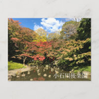 Farbige Ahornbäume nach Teich