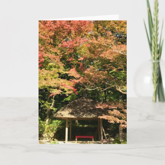 Farbige Ahornbäume und Erholung Karte (Vorderseite)