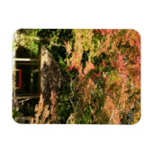 Farbige Ahornbäume und Erholung Magnet (Horizontal)