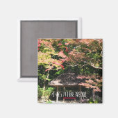 Farbige Ahornbäume und Erholung Magnet (Vorderseite/Rückseite)