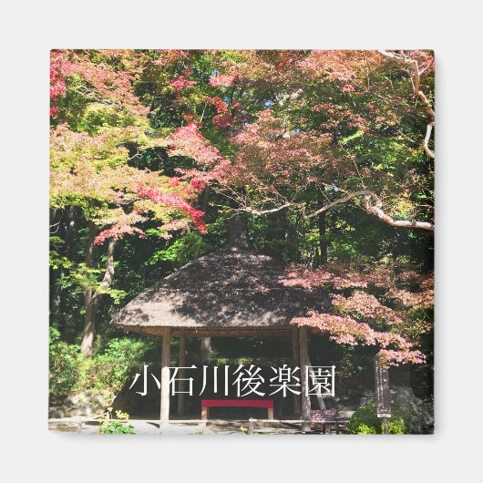 Farbige Ahornbäume und Erholung Magnet (Vorne)