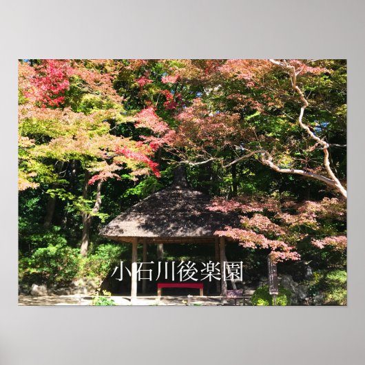 Farbige Ahornbäume und Erholung Poster (Vorne)