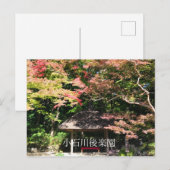 Farbige Ahornbäume und Erholung Postkarte (Vorne/Hinten)