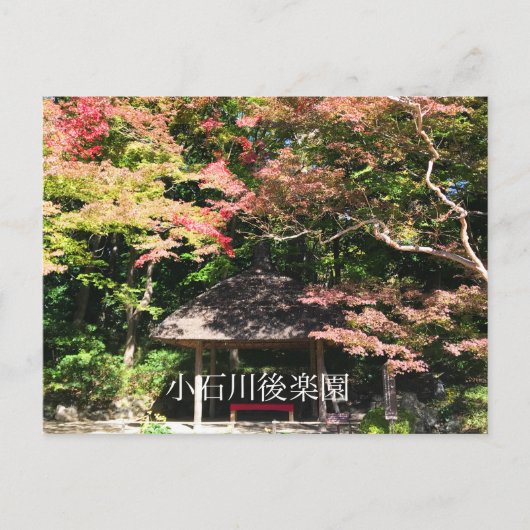 Farbige Ahornbäume und Erholung Postkarte (Vorderseite)