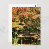 Farbige Ahornbäume und Erholung Postkarte (Vorne/Hinten)