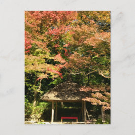 Farbige Ahornbäume und Erholung Postkarte