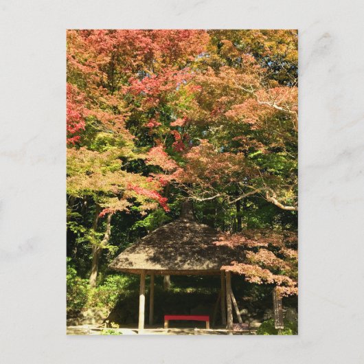 Farbige Ahornbäume und Erholung Postkarte (Vorderseite)