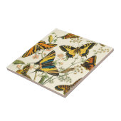 Farbige Ansammlung von Schmetterlingen und Raupen Fliese (Seite)