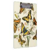 Farbige Ansammlung von Schmetterlingen und Raupen Klemmbrett (Rechts)