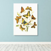 Farbige Ansammlung von Schmetterlingen und Raupen Leinwanddruck (Insitu (Holzboden))