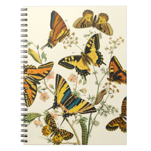 Farbige Ansammlung von Schmetterlingen und Raupen Notizblock (Vorderseite)