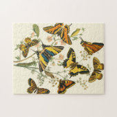 Farbige Ansammlung von Schmetterlingen und Raupen Puzzle (Horizontal)