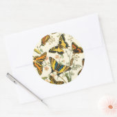 Farbige Ansammlung von Schmetterlingen und Raupen Runder Aufkleber (Umschlag)