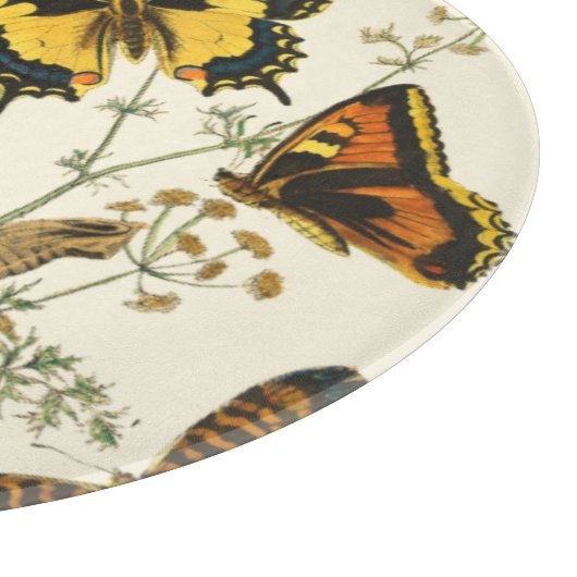 Farbige Ansammlung von Schmetterlingen und Raupen Schneidebrett (Ecke)