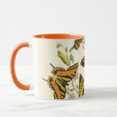 Farbige Ansammlung von Schmetterlingen und Raupen Tasse (Links)