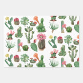 Farbige Aquarellkaktus und Sukkulenten Blume Geschenkpapier Set (Vorderseite)