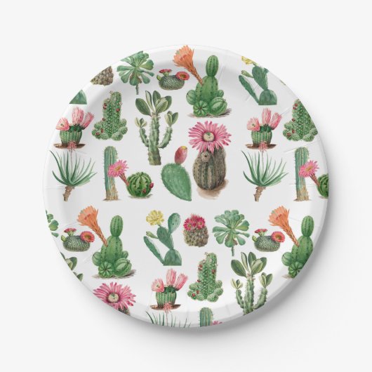 Farbige Aquarellkaktus und Sukkulenten Blume Pappteller (Vorderseite)