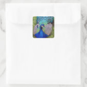 Farbige Aufkleber für Pfau (Tasche)