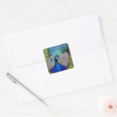 Farbige Aufkleber für Pfau (Umschlag)