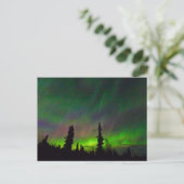 Farbige Aurora über Alaska Postkarte (Stehend Vorderseite)
