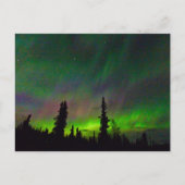 Farbige Aurora über Alaska Postkarte (Vorderseite)