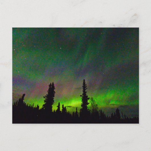 Farbige Aurora über Alaska Postkarte (Vorderseite)