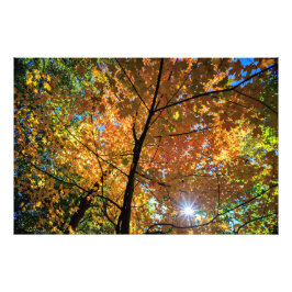 Farbige Aussicht auf den Zentralpark im Herbst Fot Fotodruck