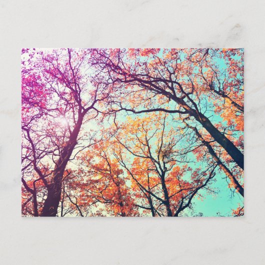 Farbige Bäume Postkarte (Vorderseite)