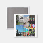 Farbige Bilder der Schweiz von Celeste Sheffey Magnet (Vorderseite/Rückseite)