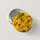 Farbige Blätter des Herbstes Button (Vorne & Hinten)