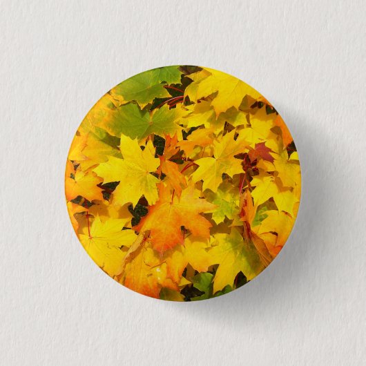 Farbige Blätter des Herbstes Button (Vorderseite)